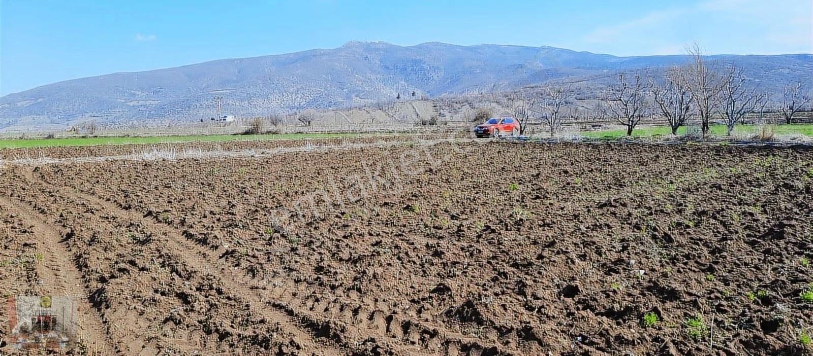 Gümenek Mesire Alanına Yakın 2608 M² Tek Tapu Tarla Satılıktır - Görsel 5