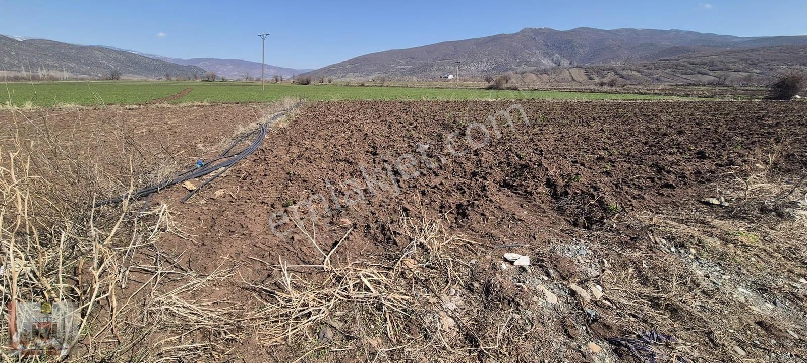 Gümenek Mesire Alanına Yakın 2608 M² Tek Tapu Tarla Satılıktır - Görsel 11