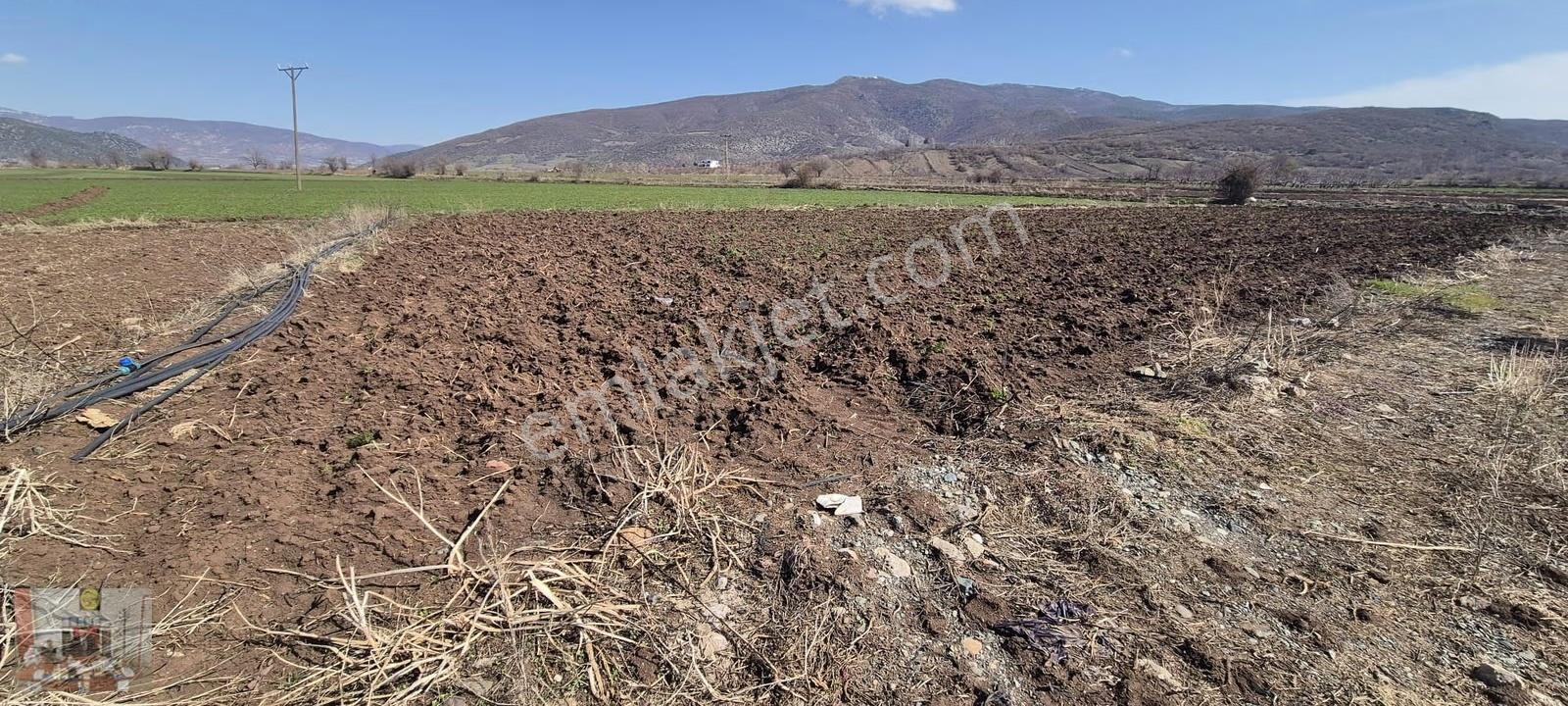 Gümenek Mesire Alanına Yakın 2608 M² Tek Tapu Tarla Satılıktır - Görsel 18