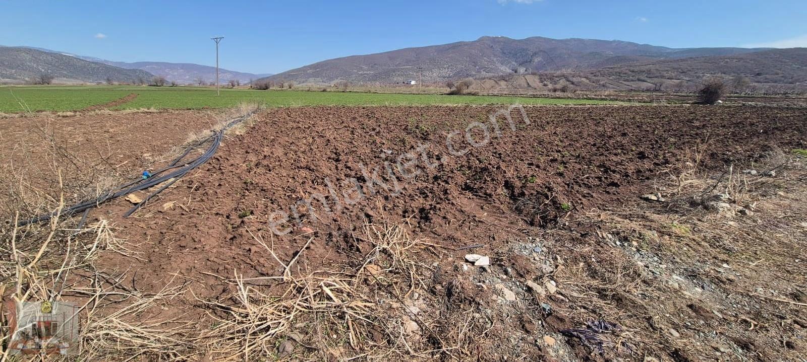 Gümenek Mesire Alanına Yakın 2608 M² Tek Tapu Tarla Satılıktır - Görsel 2