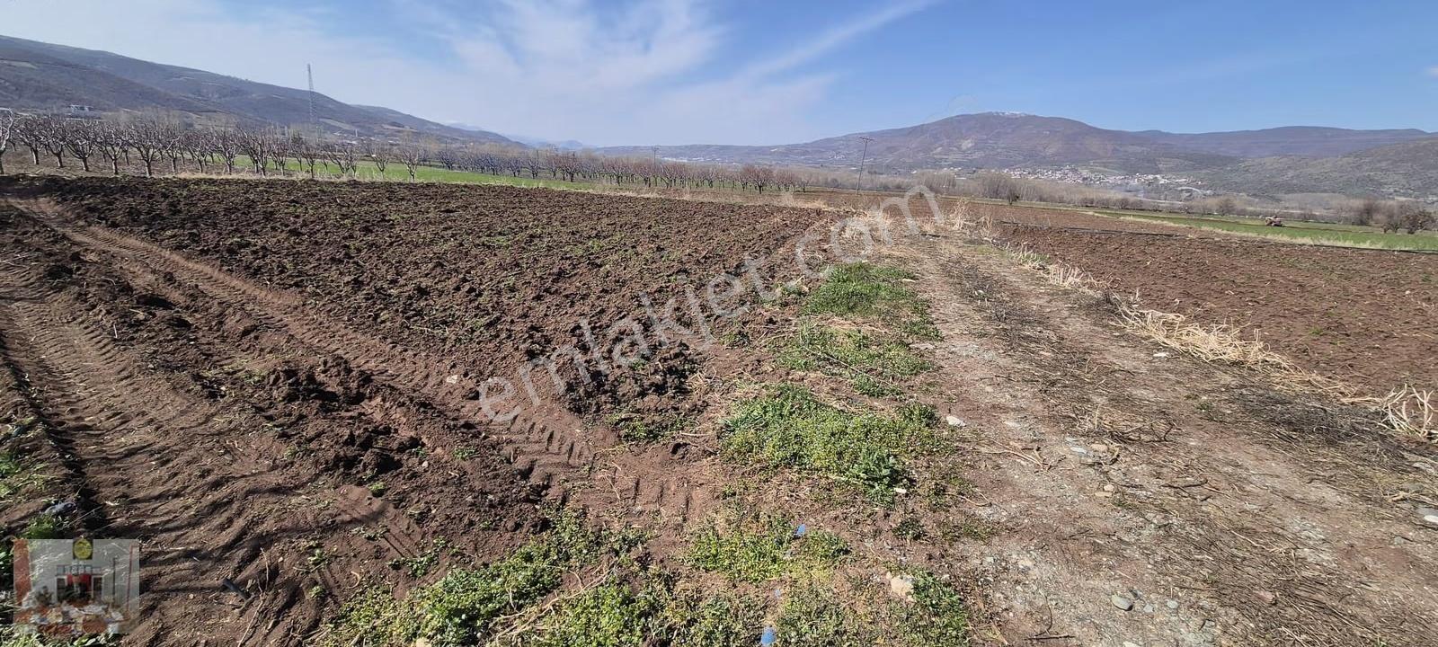 Gümenek Mesire Alanına Yakın 2608 M² Tek Tapu Tarla Satılıktır - Görsel 26