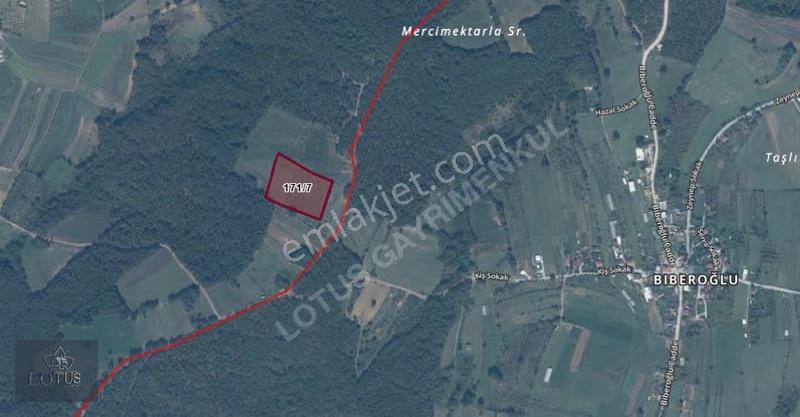 İzmit Emirhan Köyünde 12,045 M2 %5 İmarlı Satılık Tarla - Görsel 2