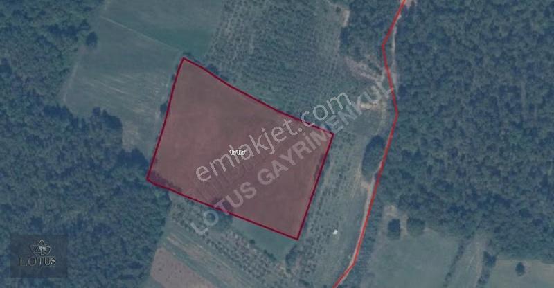 İzmit Emirhan Köyünde 12,045 M2 %5 İmarlı Satılık Tarla