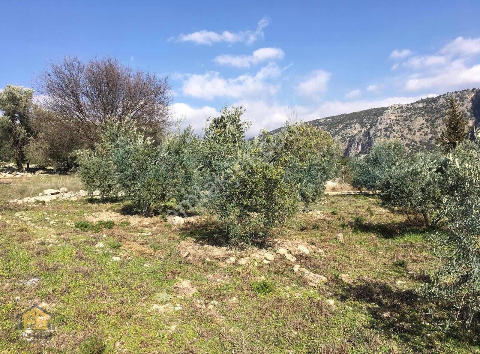 Kayadibi Mahallesinde 9465m2 Satılık Tarla - Görsel 12