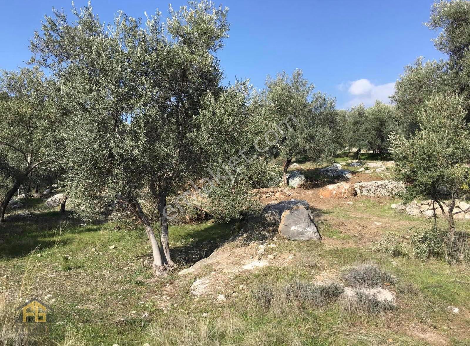 Kayadibi Mahallesinde 9465m2 Satılık Tarla - Görsel 22