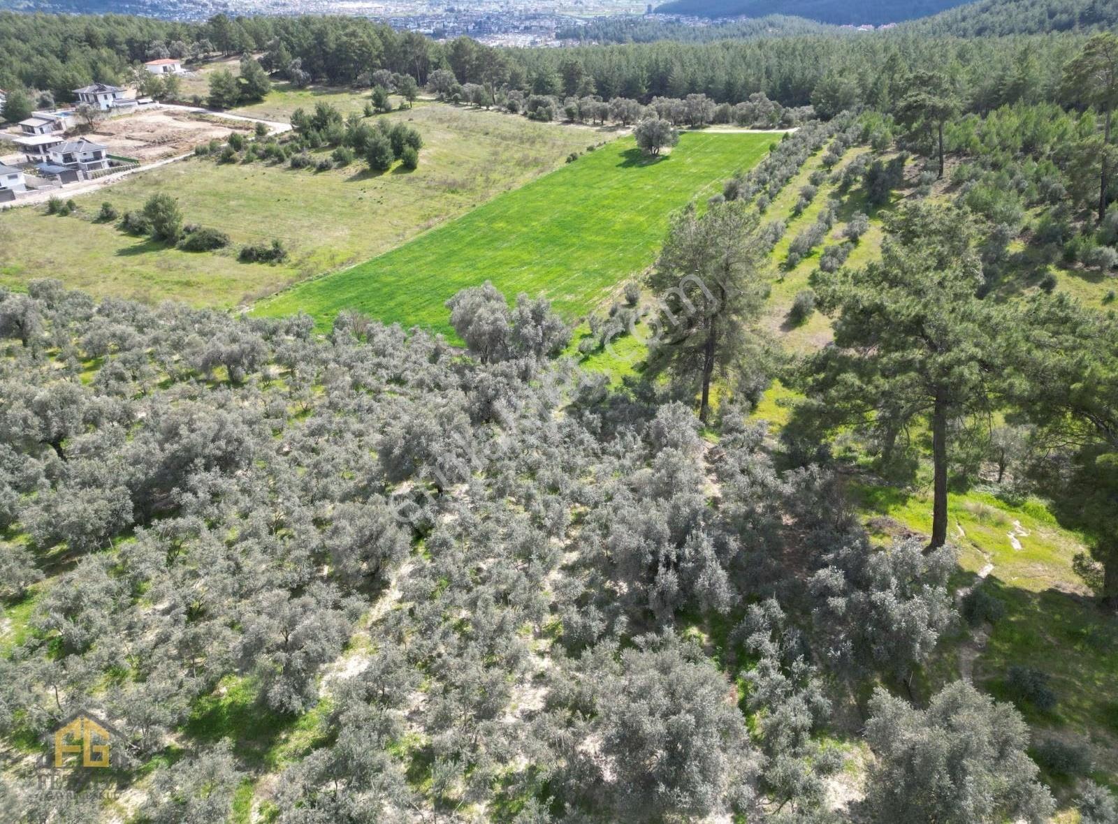Seydikemer Seydilerde Fırsat Tek Tapu 2.561m2 Satılık Arazi️