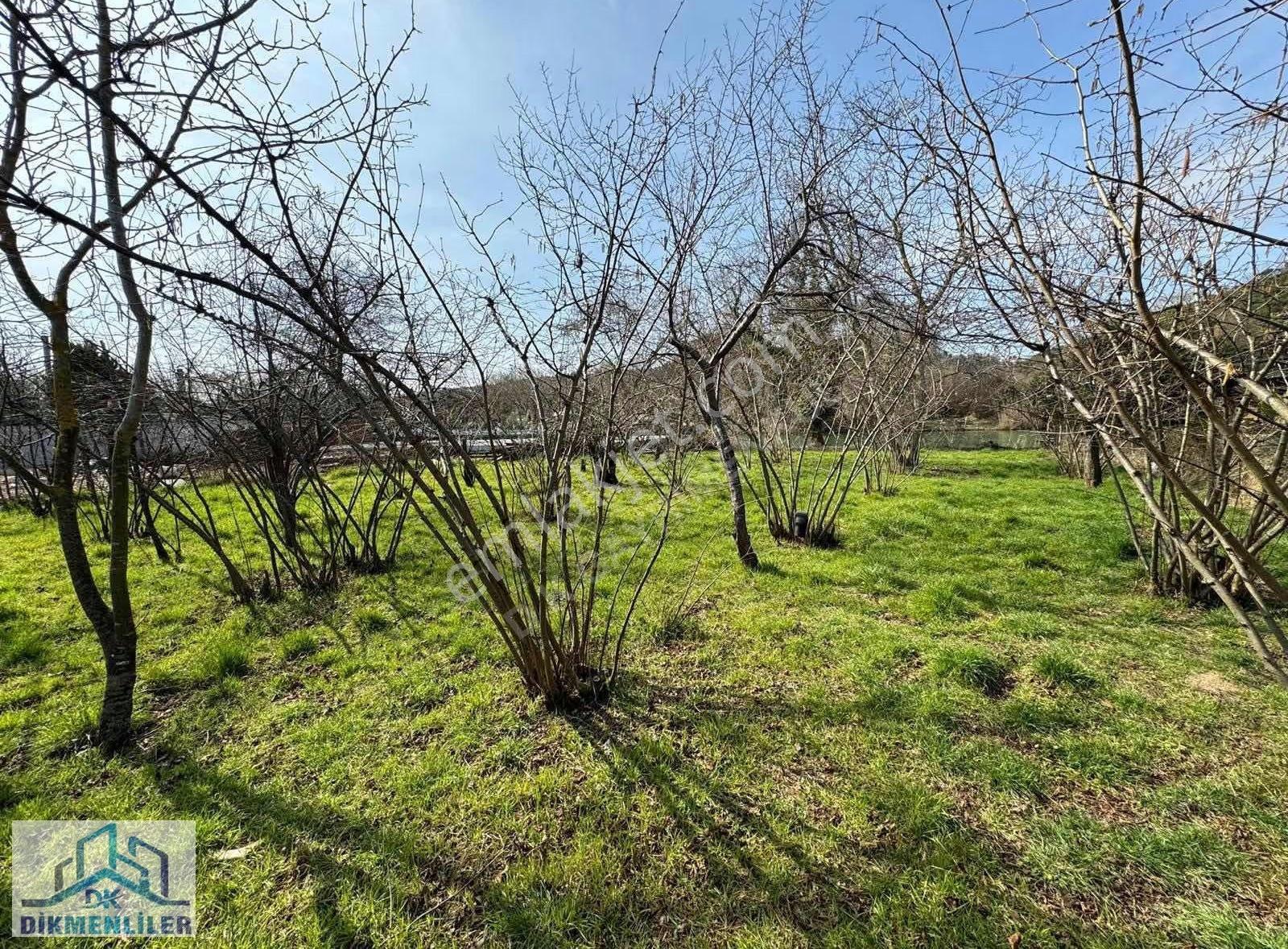 Dk Gyrm'den Ağva Nehir Kenarı Turizm İmarlı Otel Bölgesi 1370 M2 - Görsel 7