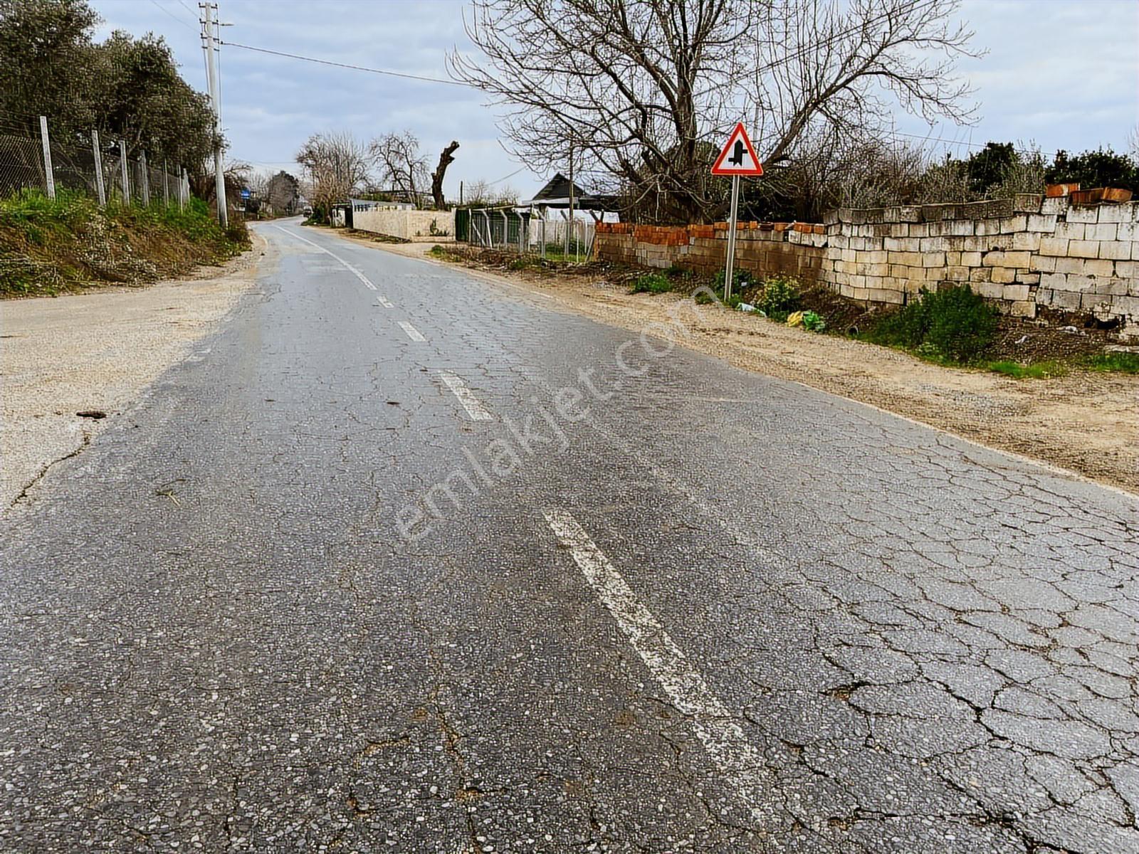 Yenipazar Donduran Köyünde Asfalt Yol Üzerinde Satılık Bahçe - Görsel 4