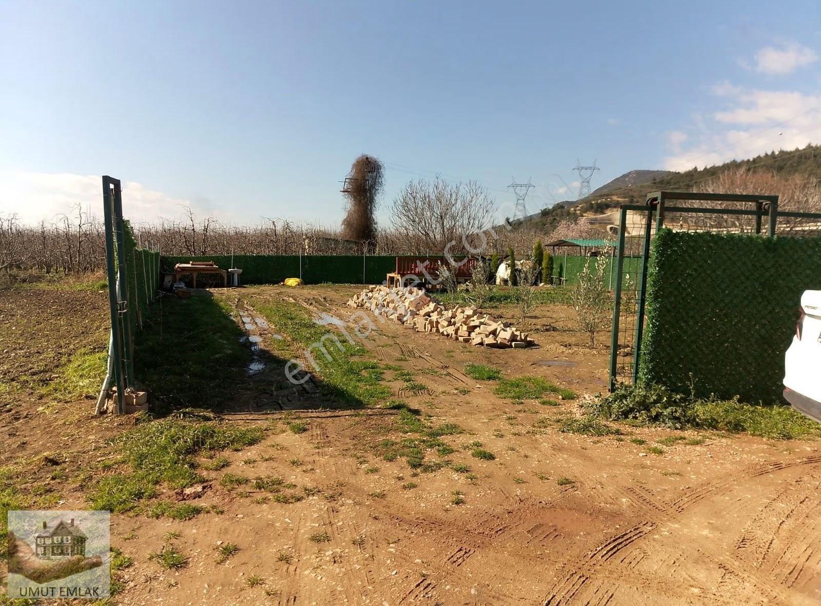 Satılık. 500 M2. Tarl Dudaklıda. - Görsel 5