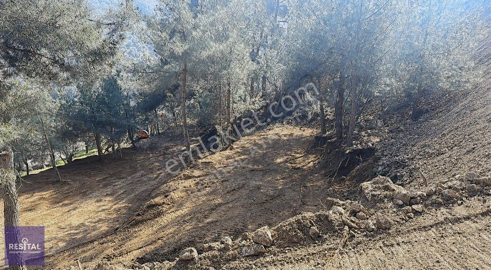 Mudanya Kumyaka Satılık 4037 M2 Asfalt Cephe Manzaralı Arazi - Görsel 8