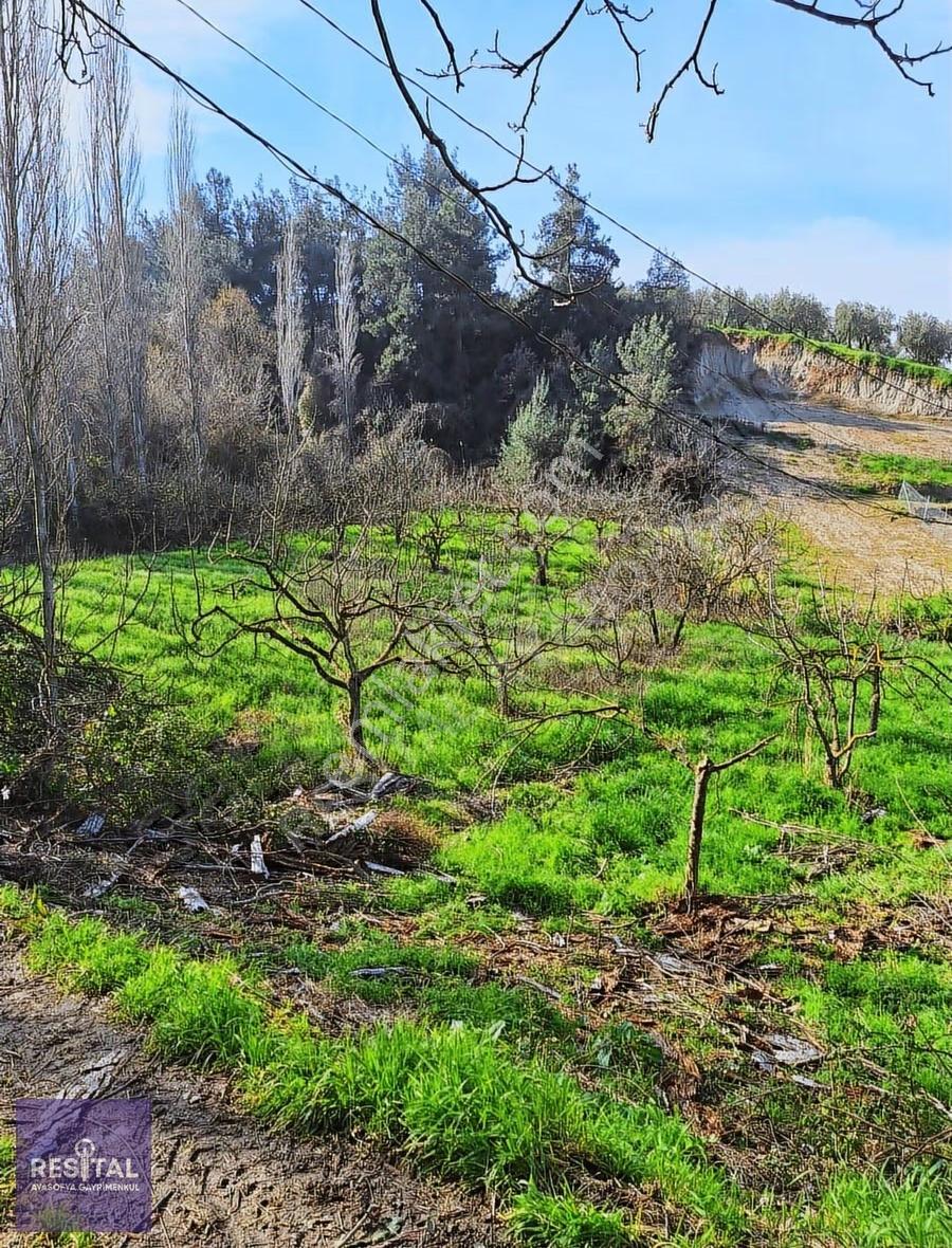 Mudanya Göynüklü'de Deniz Manzaralı, Yola 100m Tarla - Görsel 4