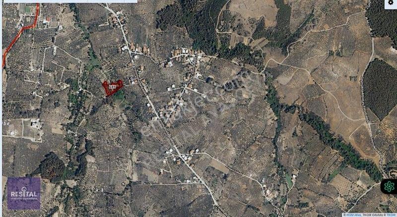 Mudanya Göynüklü'de Deniz Manzaralı, Yola 100m Tarla - Görsel 7