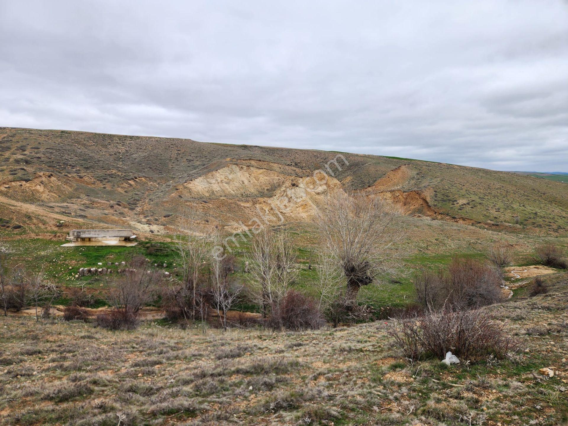 Sorgun Merkez 3 Km Mesafede 4258 M2 Şeker Fabrika Ve Çeşme Yanı - Görsel 17