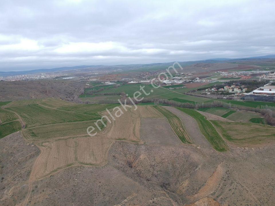 Sorgun Merkez 3 Km Mesafede 4258 M2 Şeker Fabrika Ve Çeşme Yanı - Görsel 10