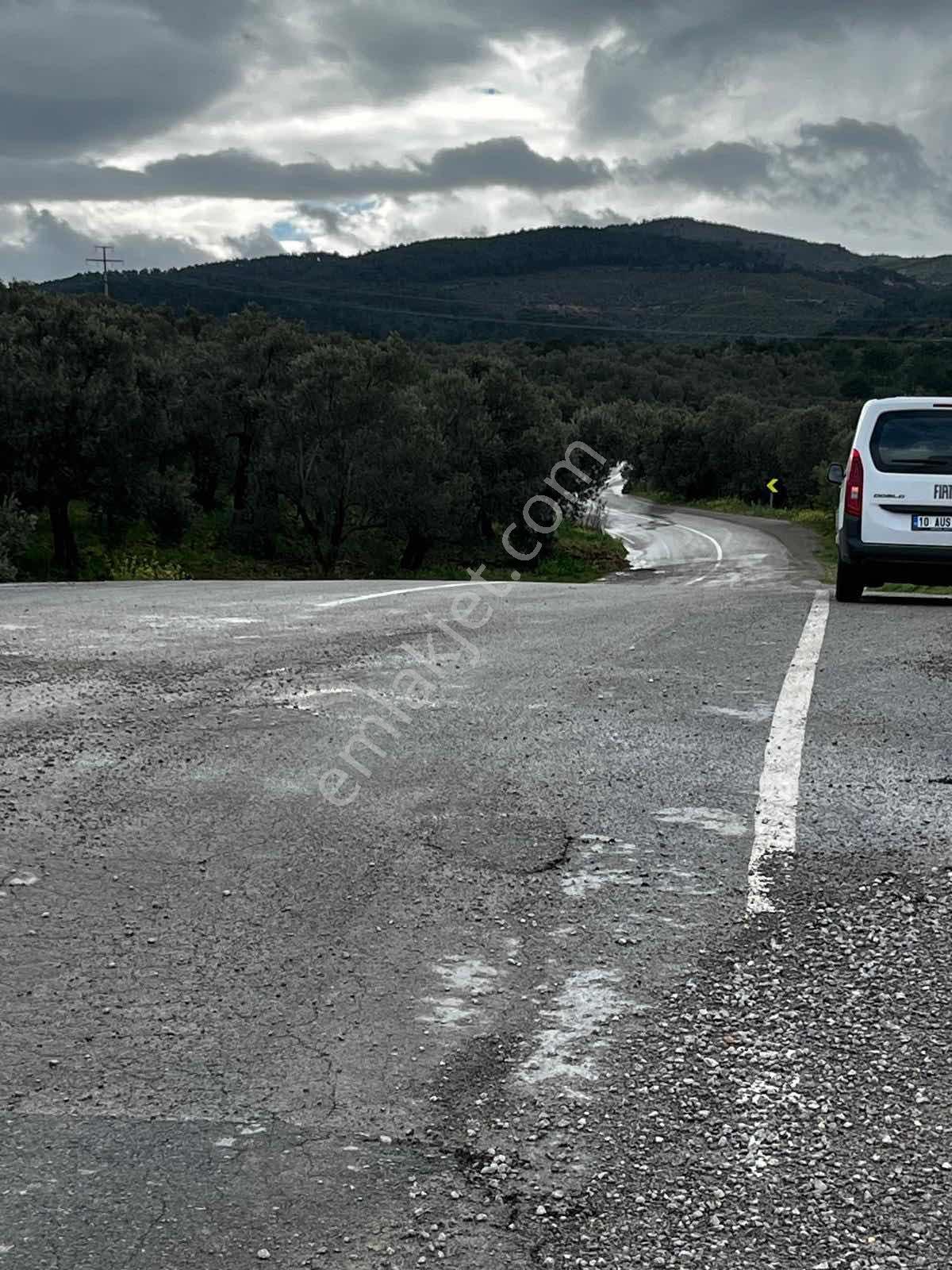 Balıkesir Havranda Satılık Zeytinlik Ve Tarım Arazisi - Görsel 5