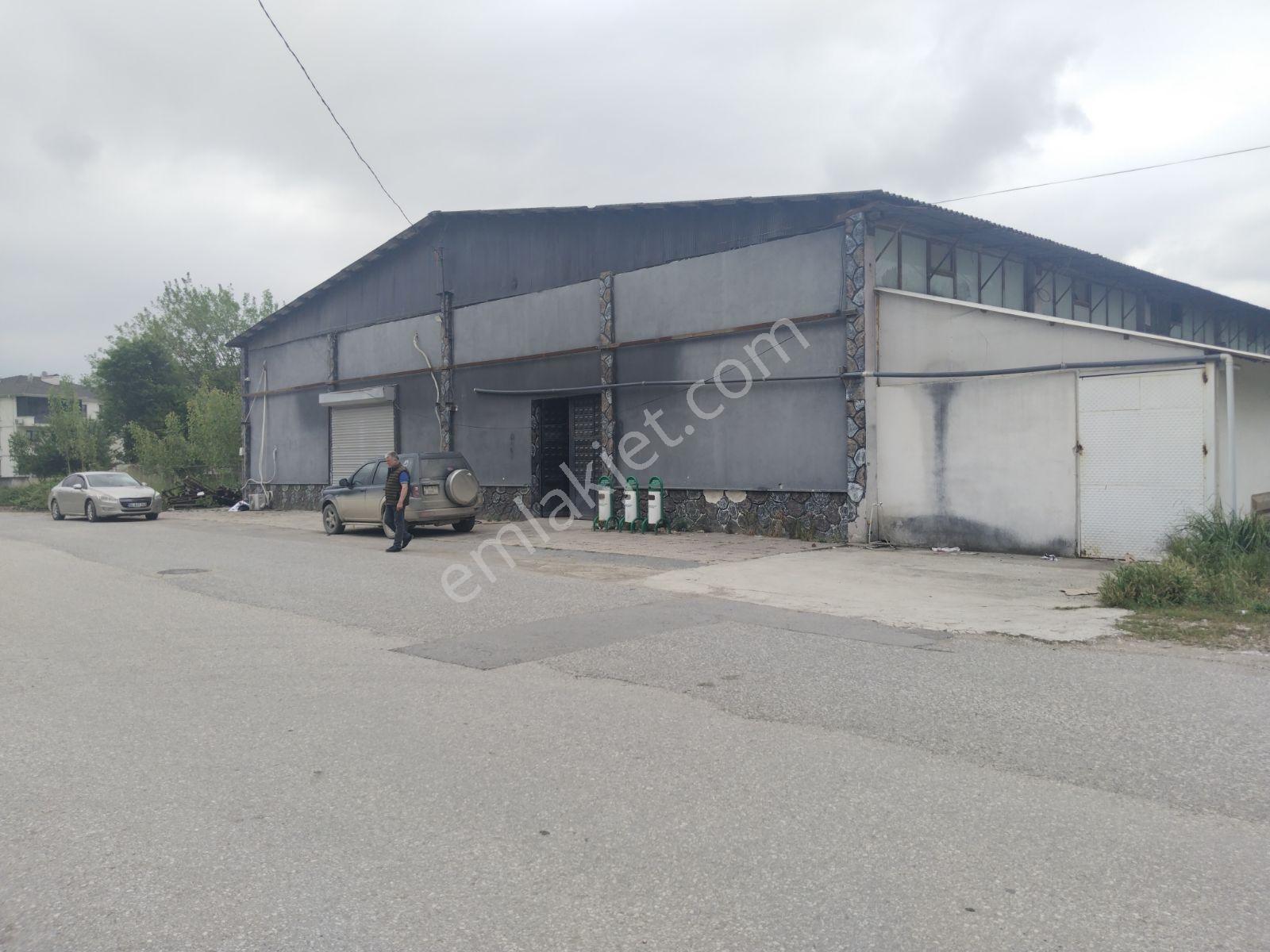 Kiralık Depo Çeşitli İş Sahaları İçinde Uygun Düğün Salonu V.s - Görsel 23