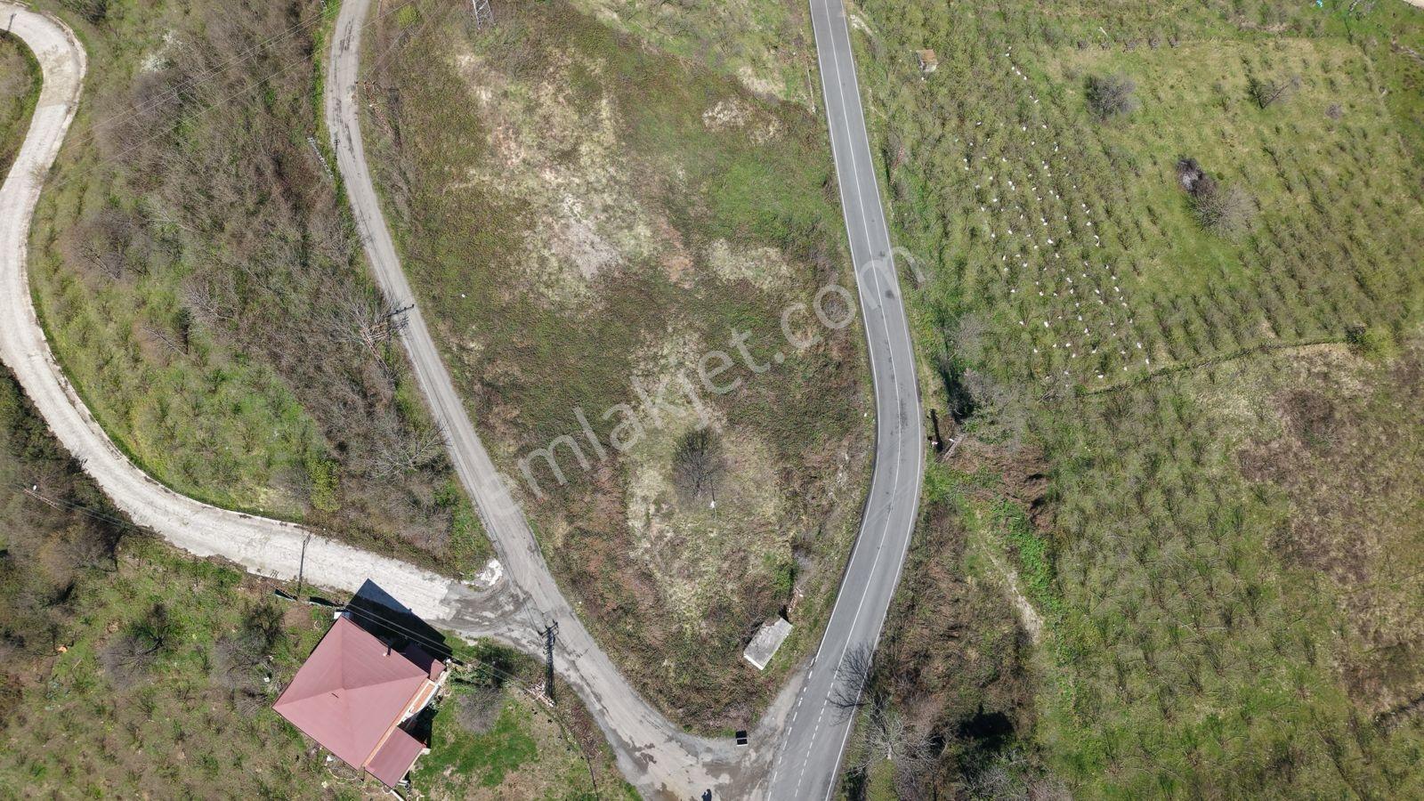 Deniz Ve Doğa Manzarasıyla Öne Çıkan, Ulaşımı Kolay Satılık Arsa - Görsel 3