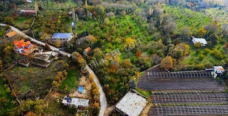 İzmir Kemalpaşa Ovacık Mevkinde 7 Dönüm Satılık Tarla - Görsel 2
