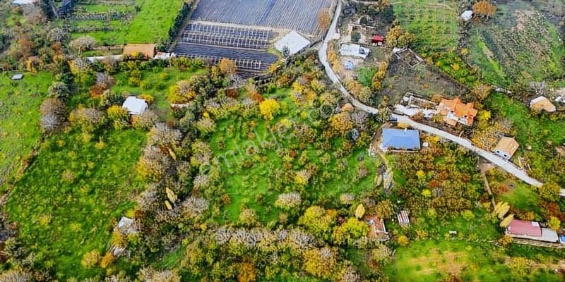 İzmir Kemalpaşa Ovacık Mevkinde 7 Dönüm Satılık Tarla