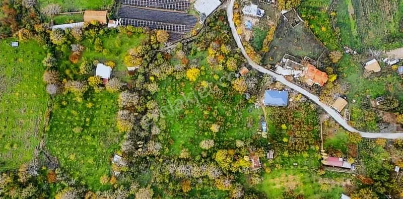 İzmir Kemalpaşa Ovacık Mevkinde 1500 M2 Satılık Müstakil Tapu - Görsel 2
