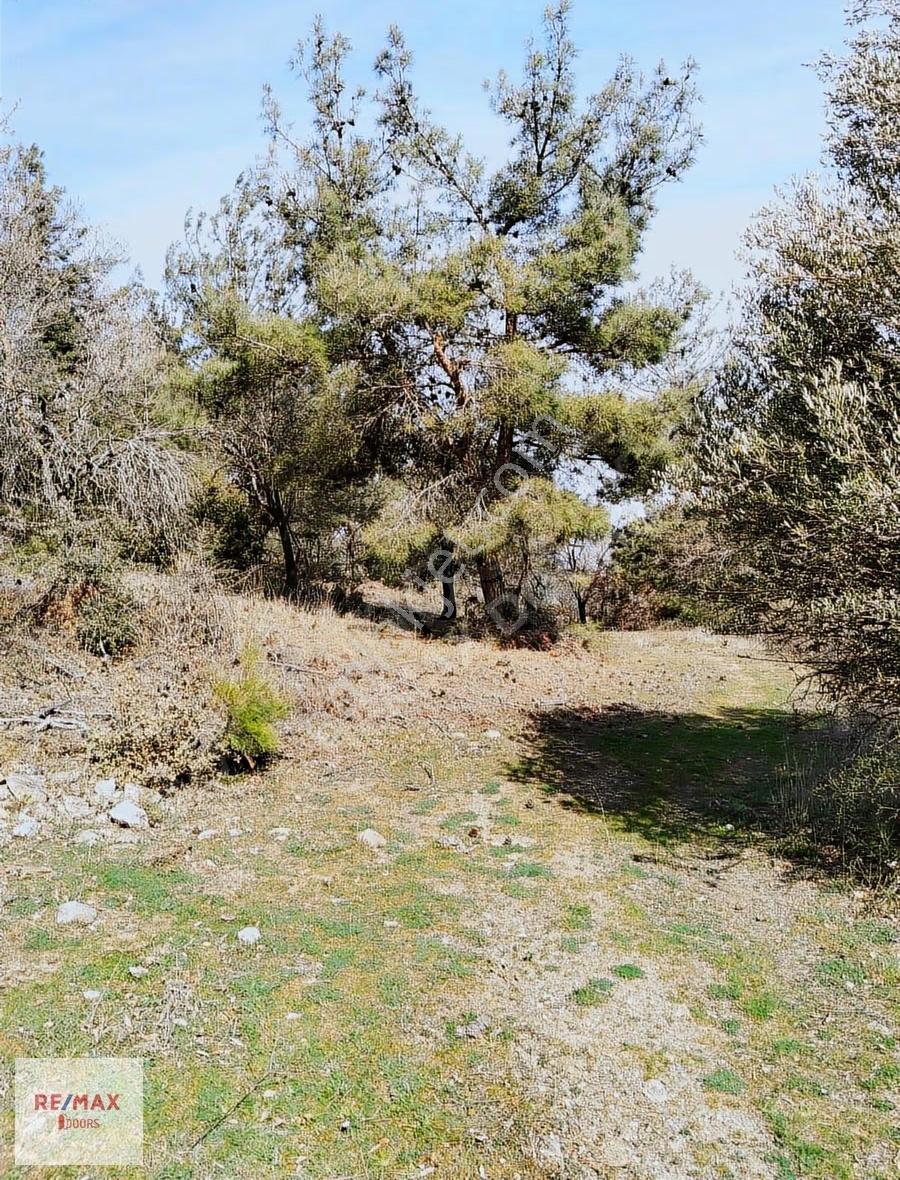 Çanakkale Merkez Köyünde İmara Çok Yakın 3255 M2 Müstakil Tarla - Görsel 6