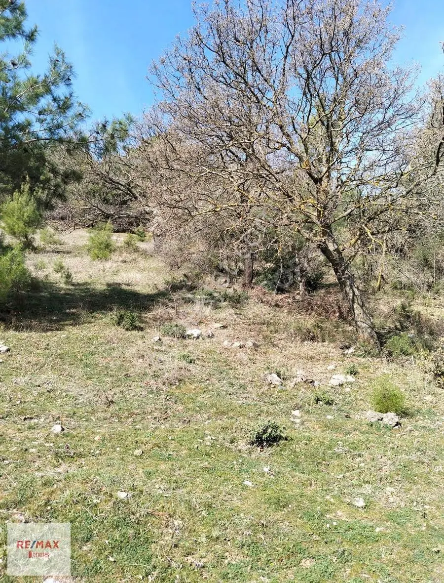 Çanakkale Merkez Köyünde İmara Çok Yakın 3255 M2 Müstakil Tarla - Görsel 4