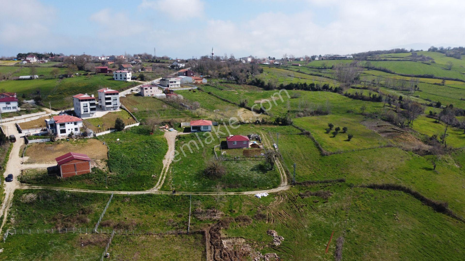 Sinop Merkez Yalıköyü'nde Satılık 549 M² Arsa - Görsel 6