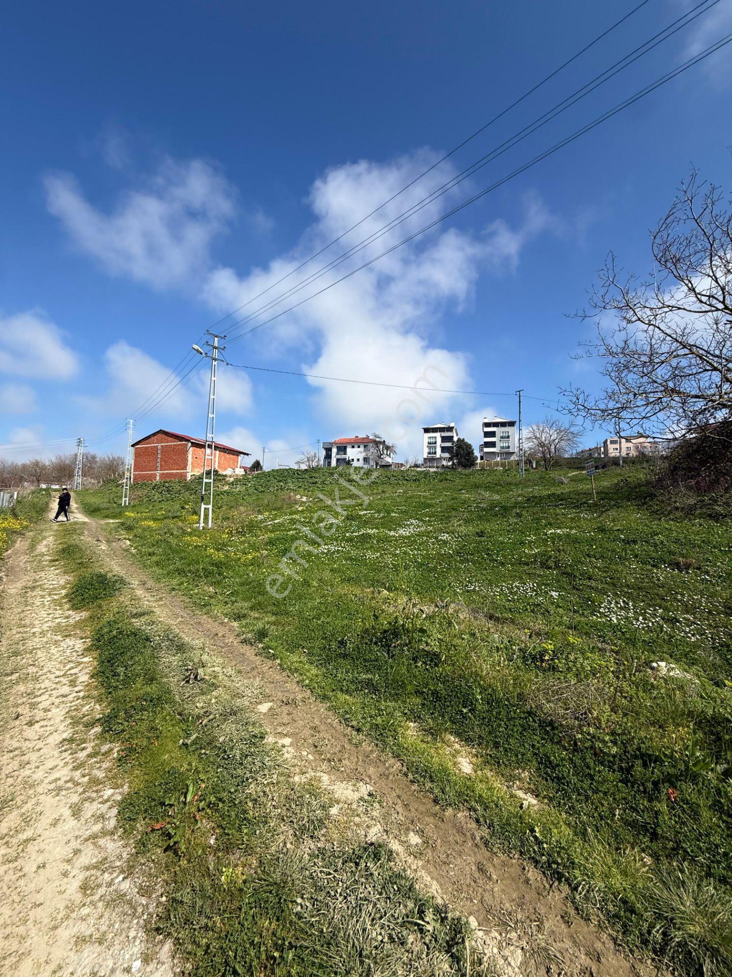 Sinop Merkez Yalıköyü'nde Satılık 549 M² Arsa - Görsel 7