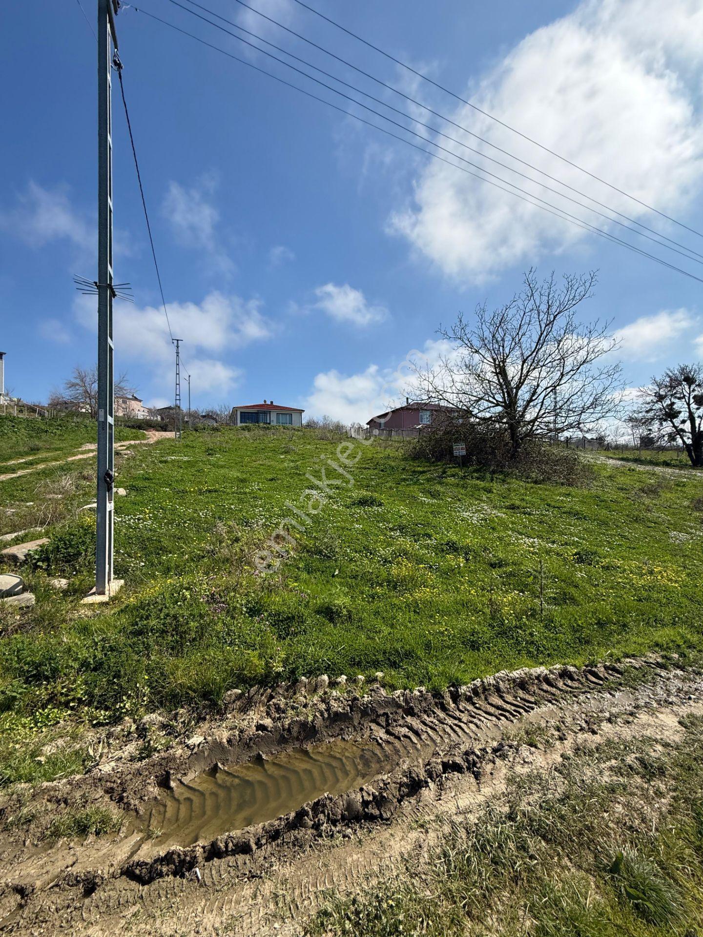 Sinop Merkez Yalıköyü'nde Satılık 549 M² Arsa - Görsel 8