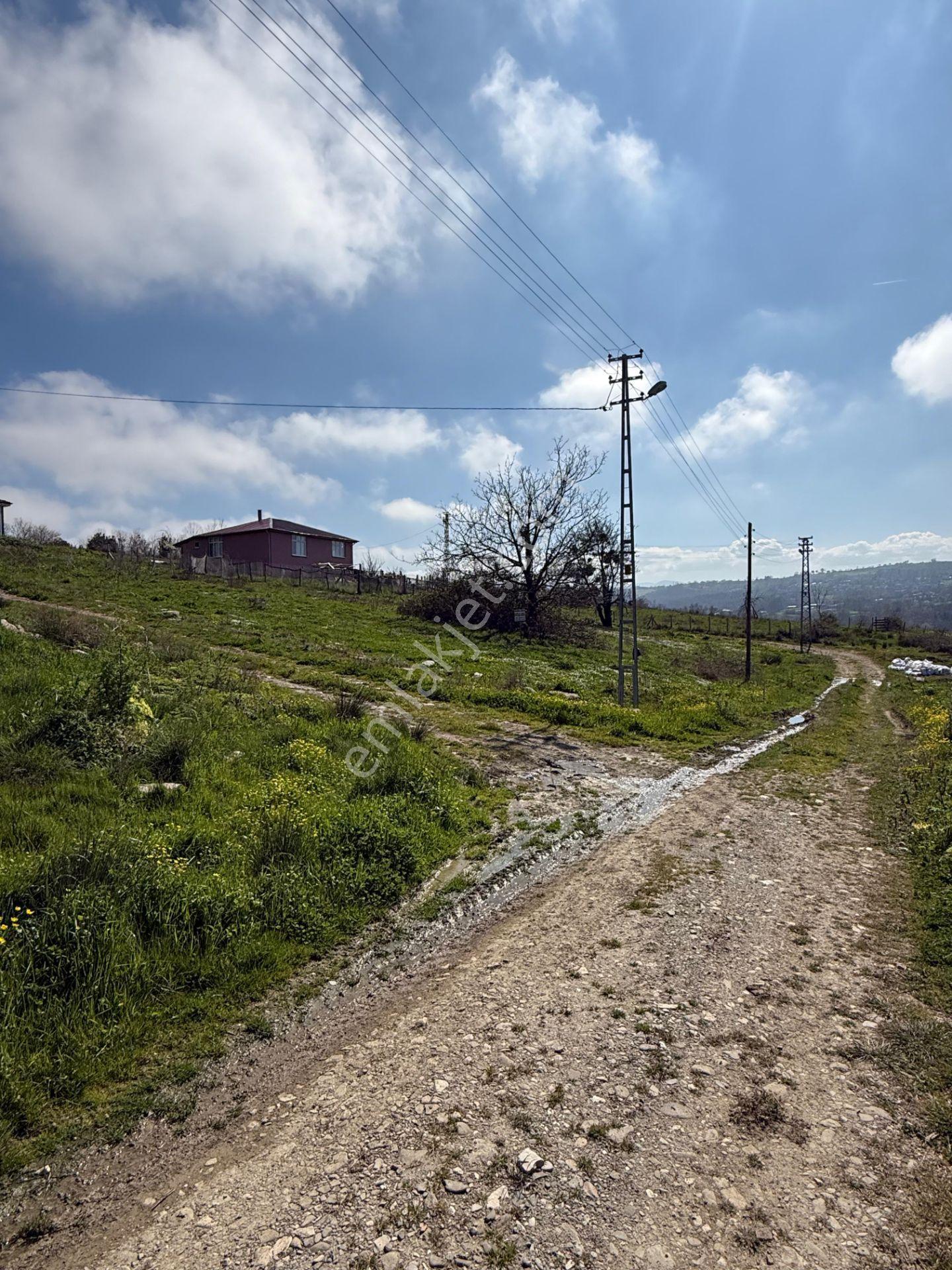 Sinop Merkez Yalıköyü'nde Satılık 549 M² Arsa - Görsel 9