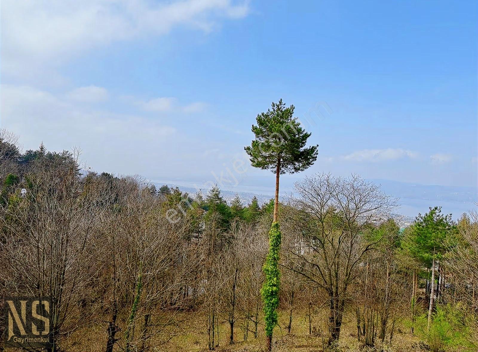 Sapanca İlmiye'de Göl Manzaralı İmarlı Ruhsatlı Arsa - Görsel 8