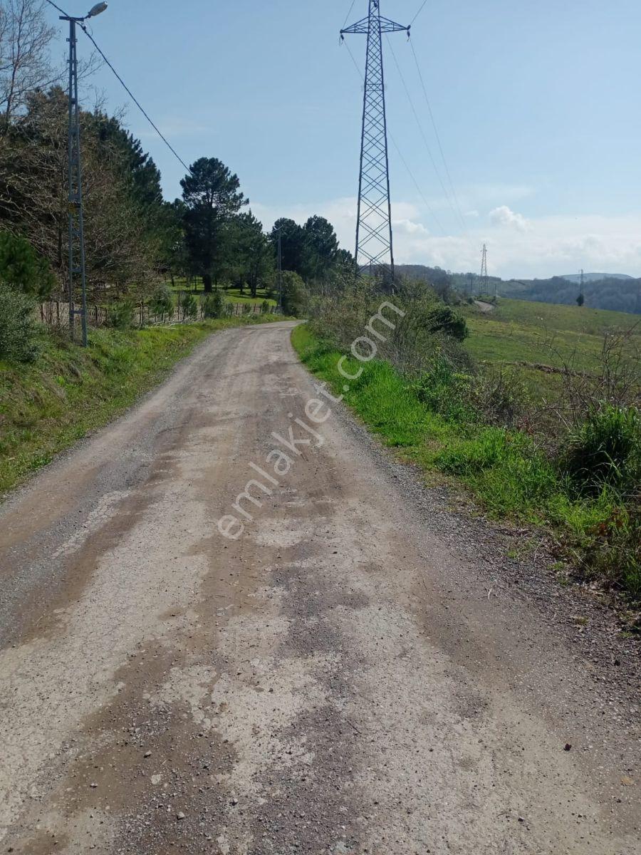 Şile Geredeli De Resmi Yol Cepheli Satılık - Görsel 3