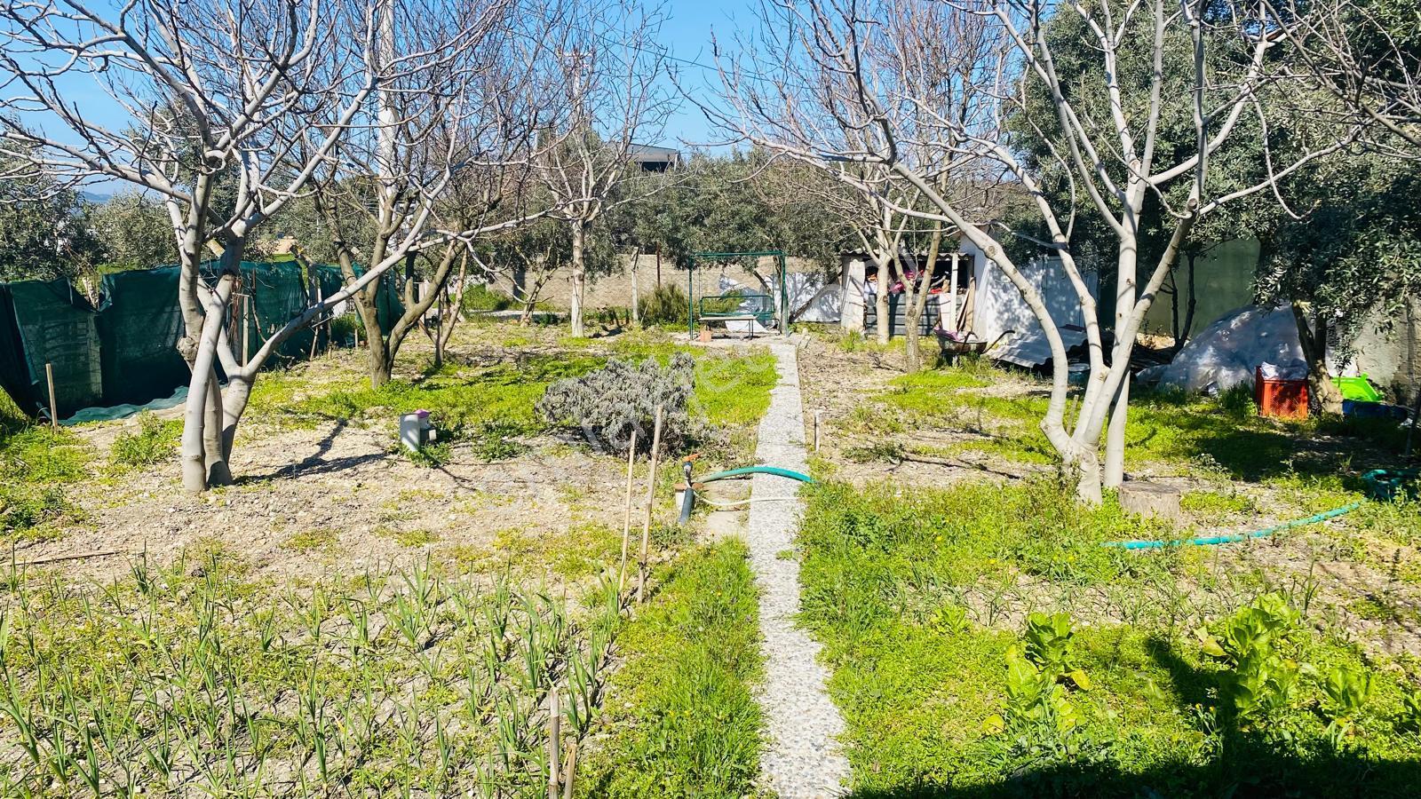 Menderes Kısıklı’da 403 M² Arsa İçinde Eşyalı Müstakil Ev - Görsel 7