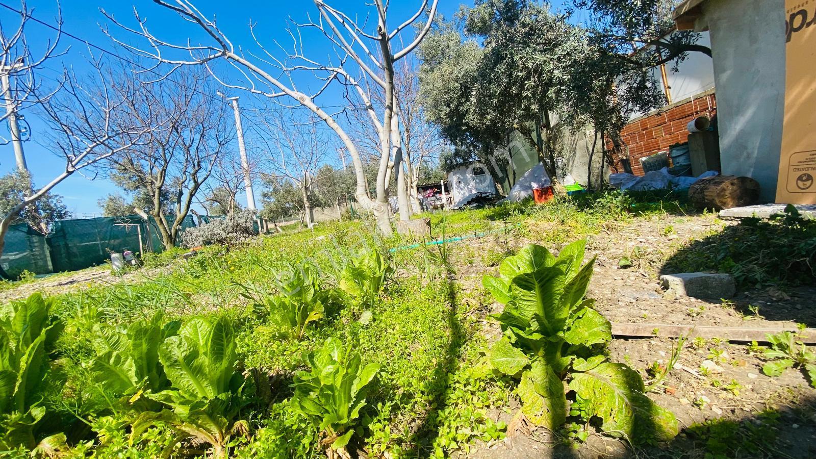 Menderes Kısıklı’da 403 M² Arsa İçinde Eşyalı Müstakil Ev - Görsel 8