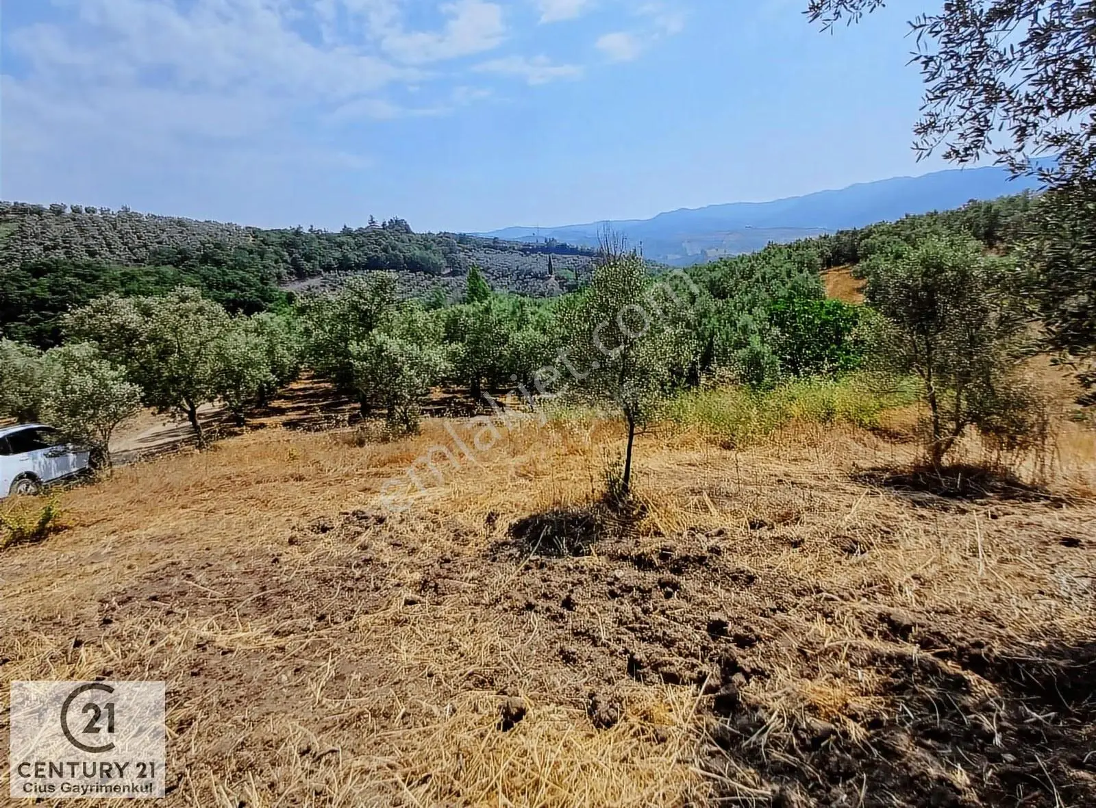 Yeni Köy'de 240 M² Hobi Bahçesi İmkanlı Tarla - Asfalt Yakını - Görsel 2