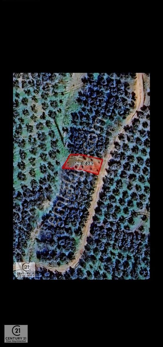 Yeni Köy'de 240 M² Hobi Bahçesi İmkanlı Tarla - Asfalt Yakını - Görsel 11