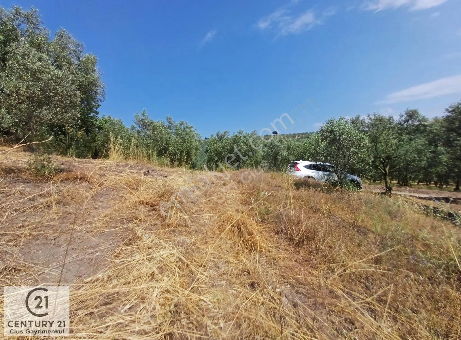 Yeni Köy'de 240 M² Hobi Bahçesi İmkanlı Tarla - Asfalt Yakını - Görsel 6