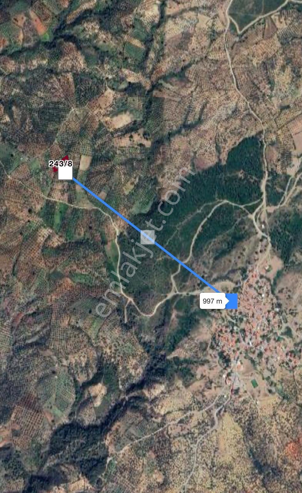 Havran Tepeoba Köyünde Satılık 2243 M2 Zeytinlik - Görsel 4