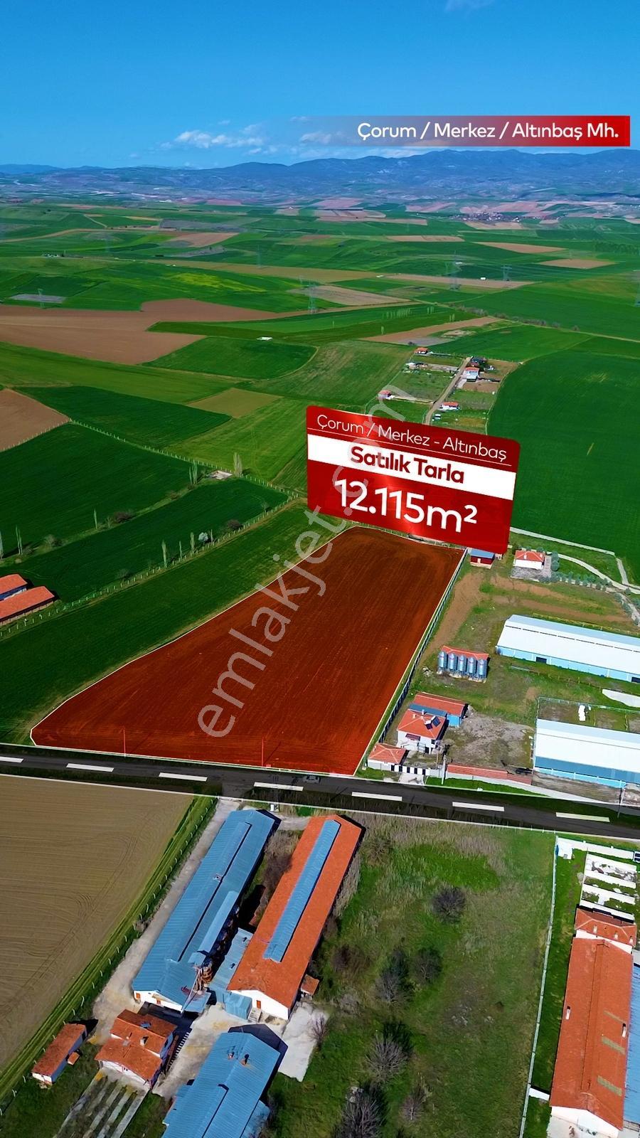 Truva'dan Çorum-merkez Altınbaşta Anayola Cephe Yatırımlık Tarla - Görsel 14