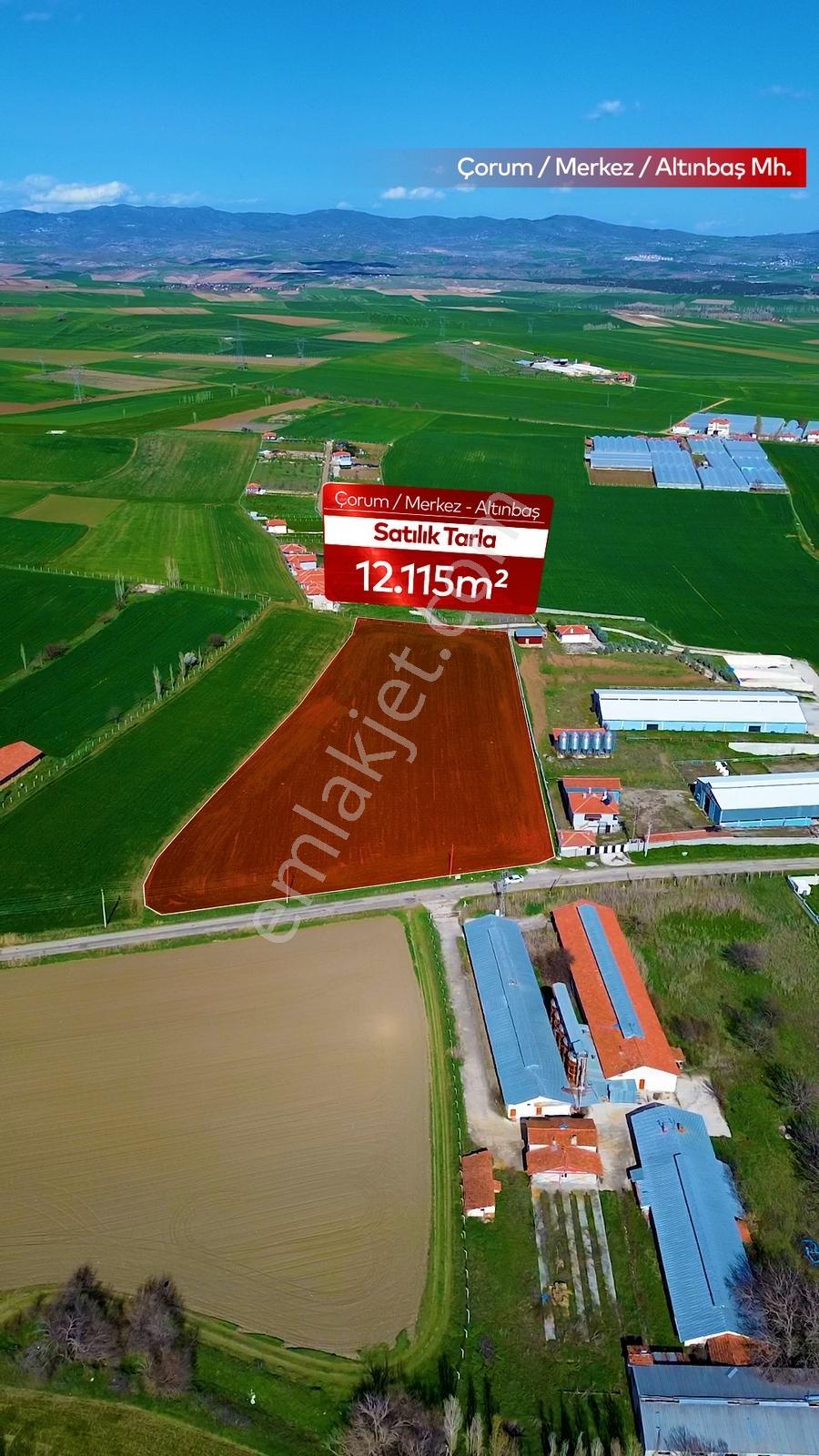 Truva'dan Çorum-merkez Altınbaşta Anayola Cephe Yatırımlık Tarla - Görsel 3