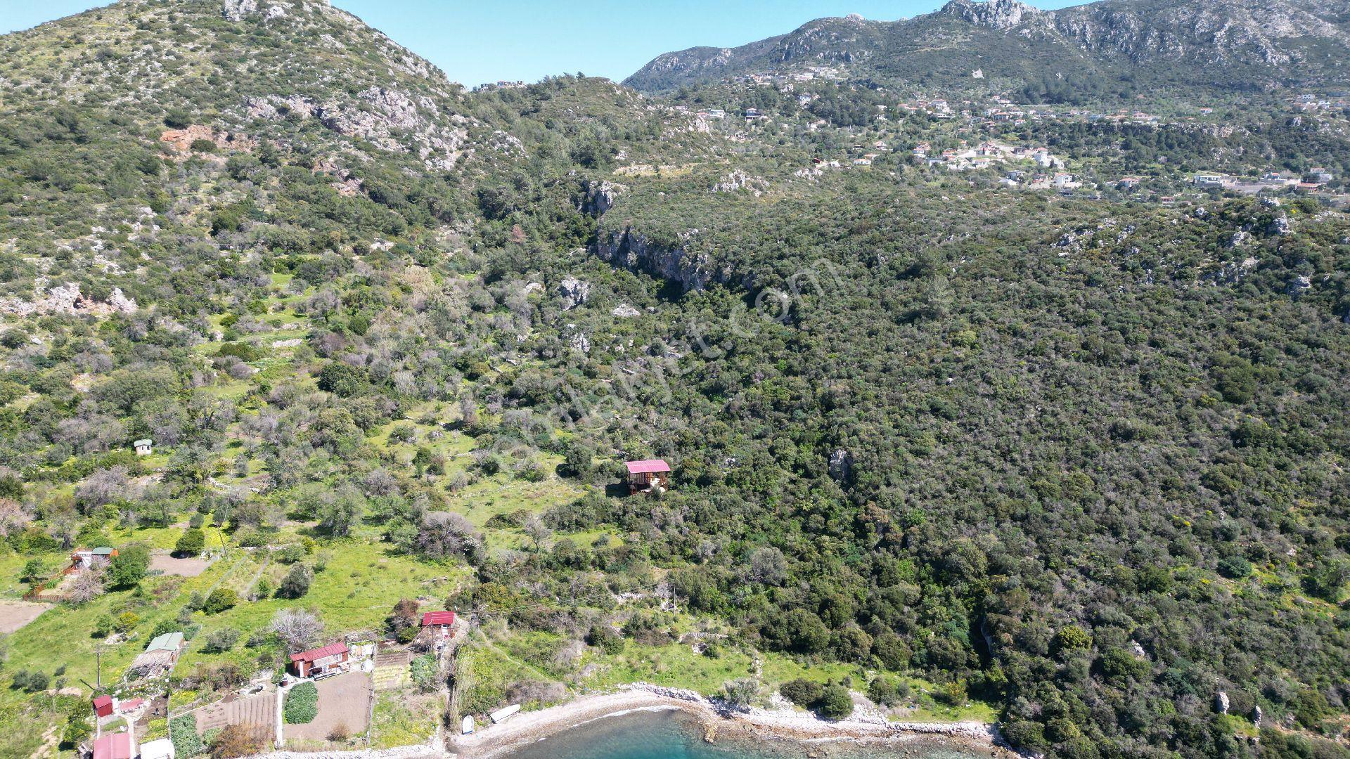 Joker: Marmaris Söğüt Denize 90 Metre Yakınlıkta Manzaralı Tarla - Görsel 6