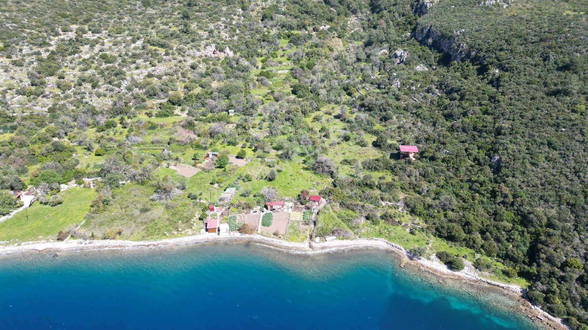 Joker: Marmaris Söğüt Denize 90 Metre Yakınlıkta Manzaralı Tarla - Görsel 7
