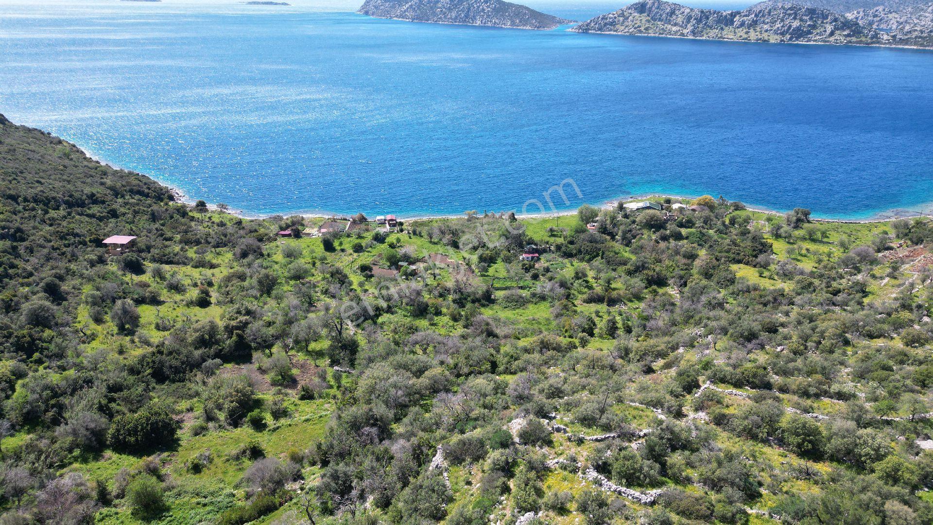 Joker: Marmaris Söğüt Denize 90 Metre Yakınlıkta Manzaralı Tarla - Görsel 16