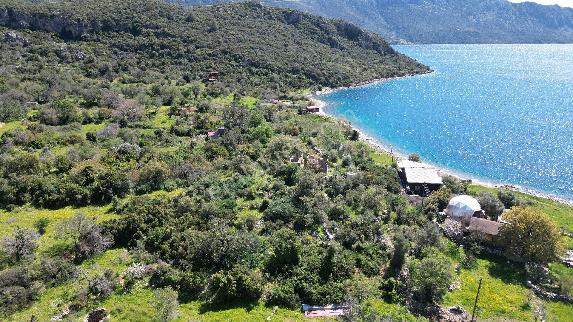 Joker: Marmaris Söğüt Denize 90 Metre Yakınlıkta Manzaralı Tarla - Görsel 11