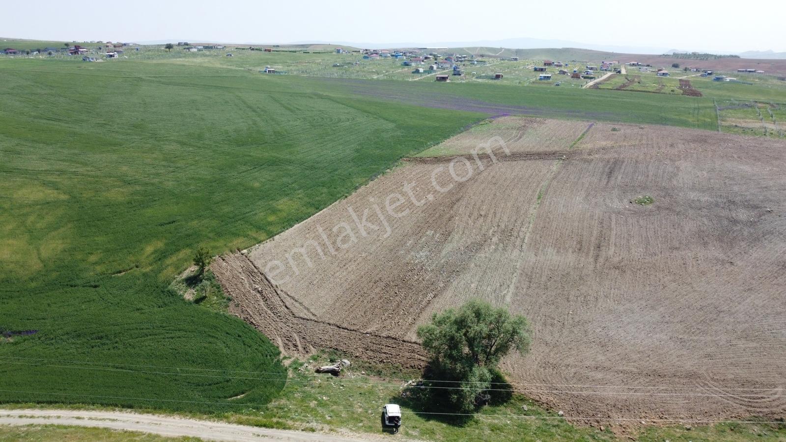*teberik Te Yol Kenarı 196 Metre Hisseli Tapu** - Görsel 23