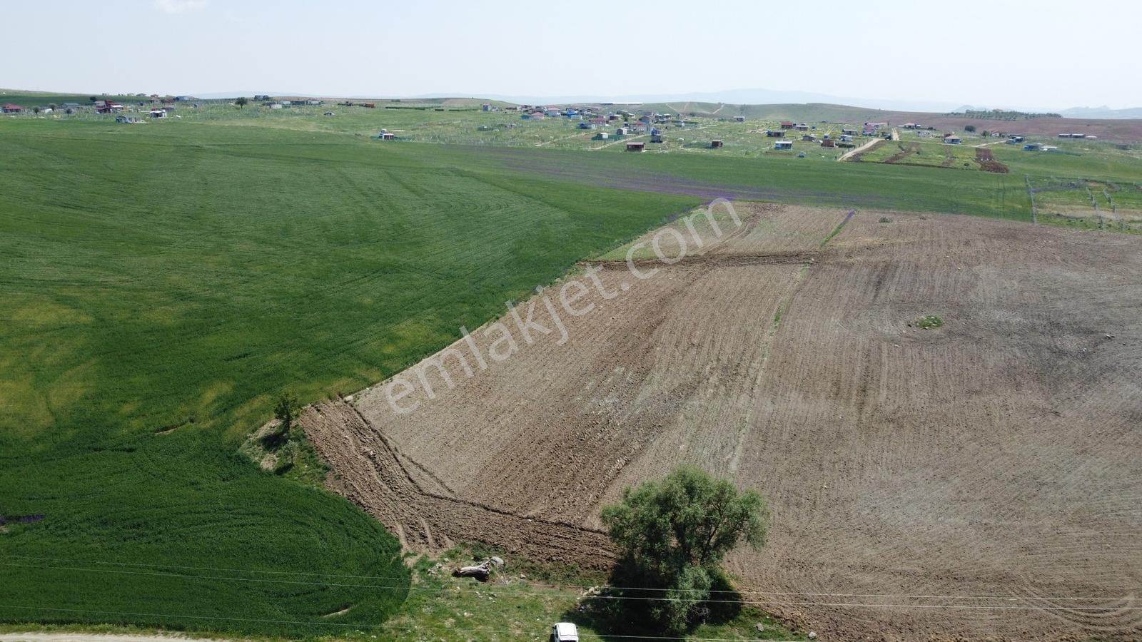 *teberik Te Yol Kenarı 196 Metre Hisseli Tapu** - Görsel 15