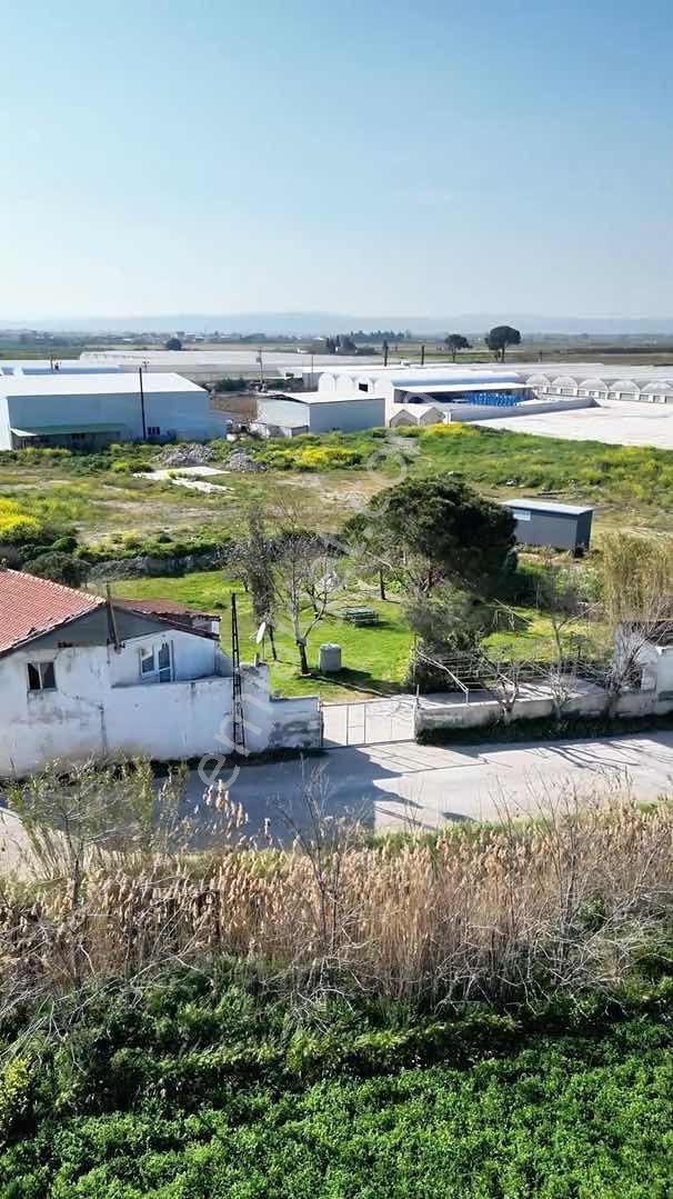 Menemen Çavuş Mahallesi Satılık Arazi - Görsel 7