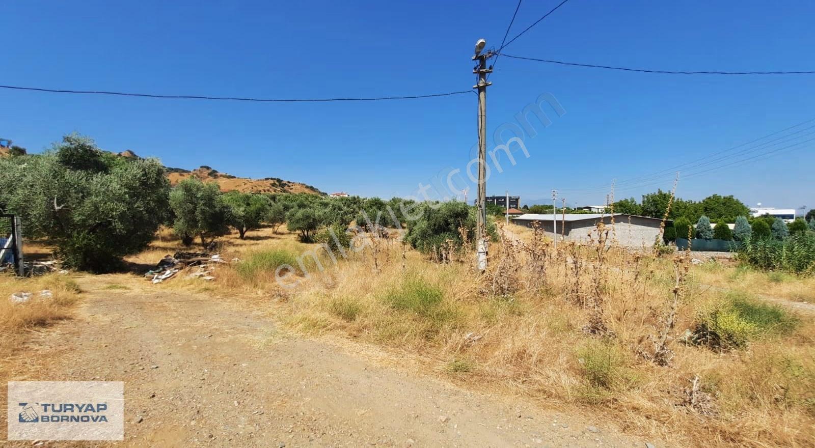 Manisa Turgutlu Avşar'da Satılık 300 M2 Sanayi İmarlı Arsa - Görsel 3