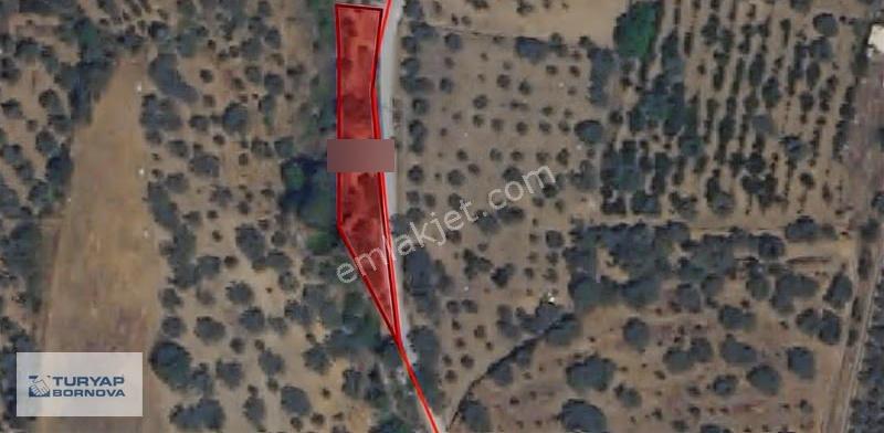 Armutlu'da Ana Yola Yakın Konumda 784 M2 Kiralık Arazi - Görsel 12