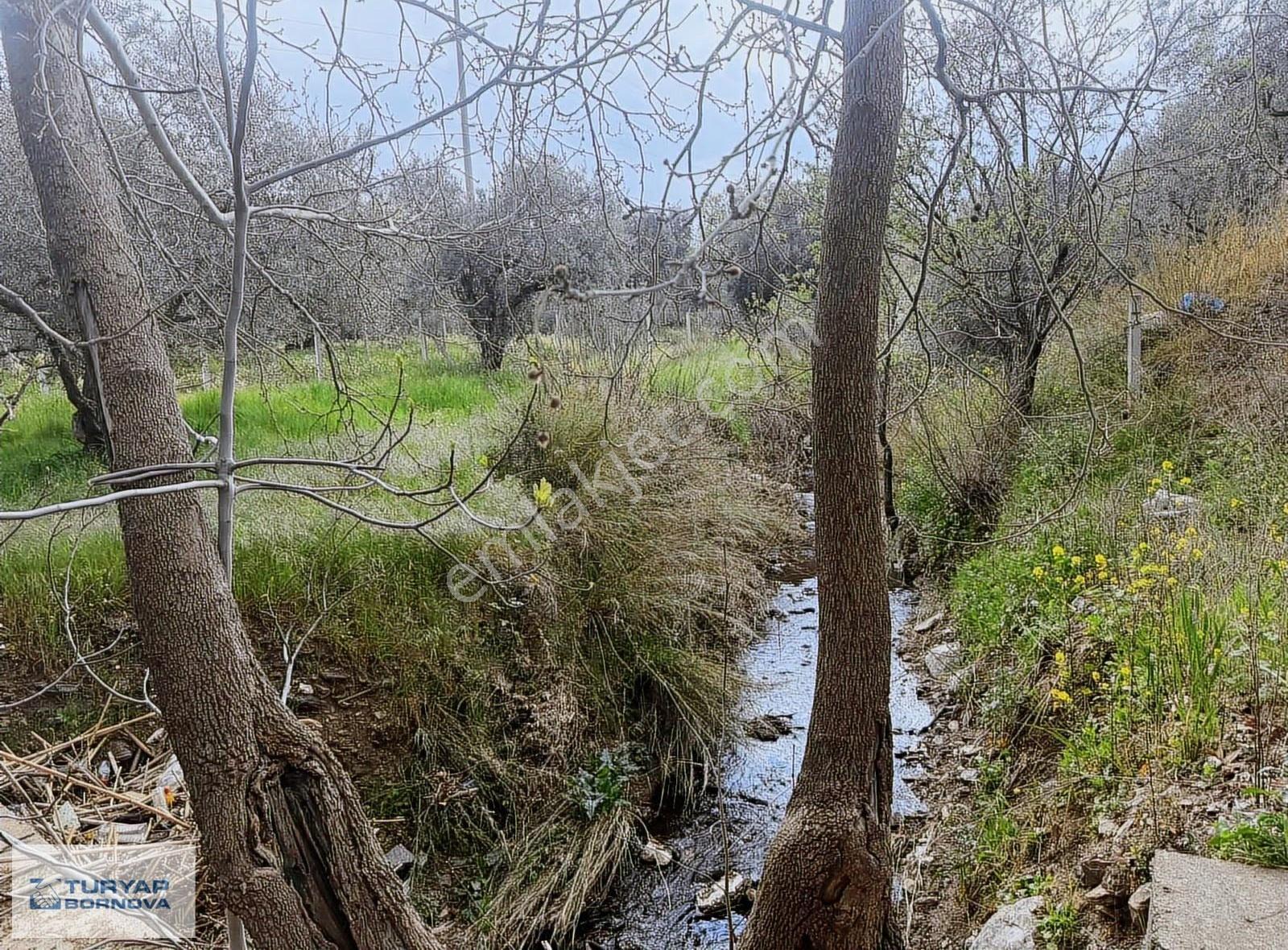 Armutlu'da Ana Yola Yakın Konumda 784 M2 Kiralık Arazi